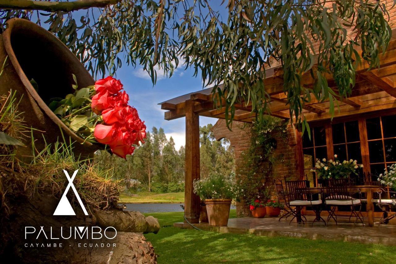 Palumbo Glamping & Villas Cayambe Exterior foto
