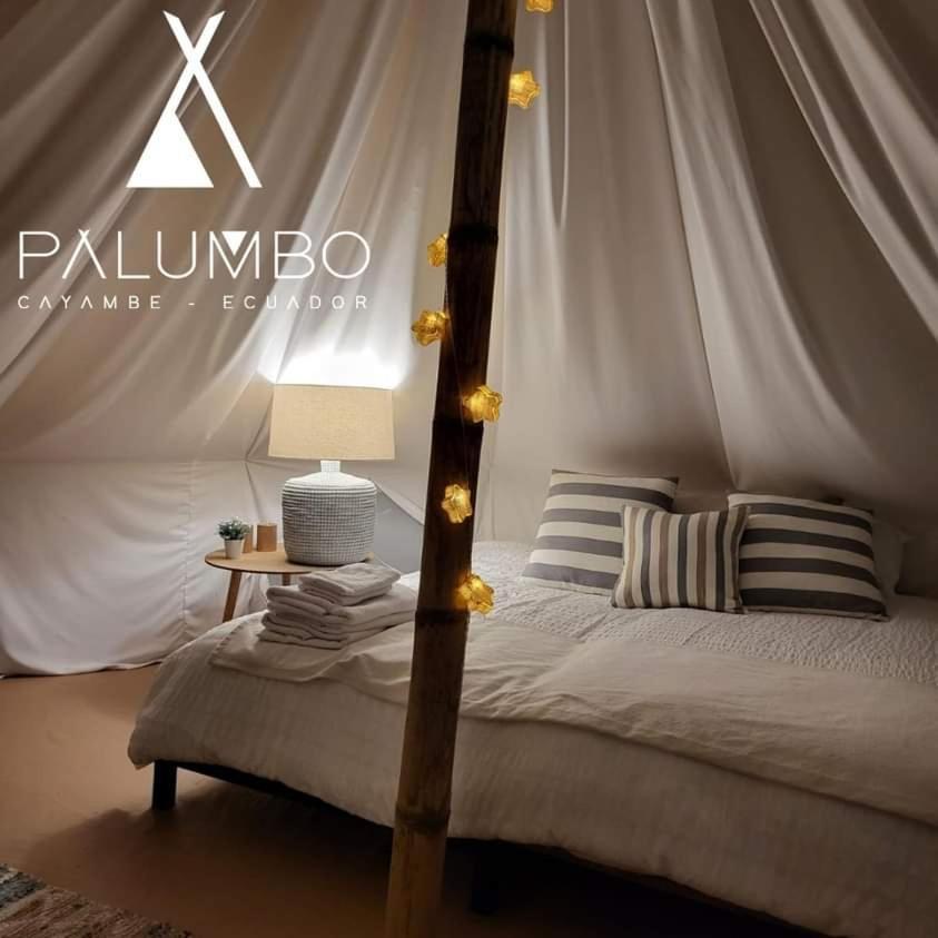Palumbo Glamping & Villas Cayambe Exterior foto